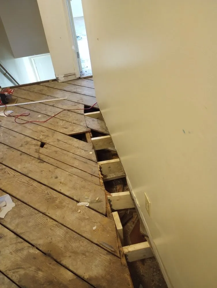 Professional lawn care service experts serving Indianapolis, IN - Burgetts Trades