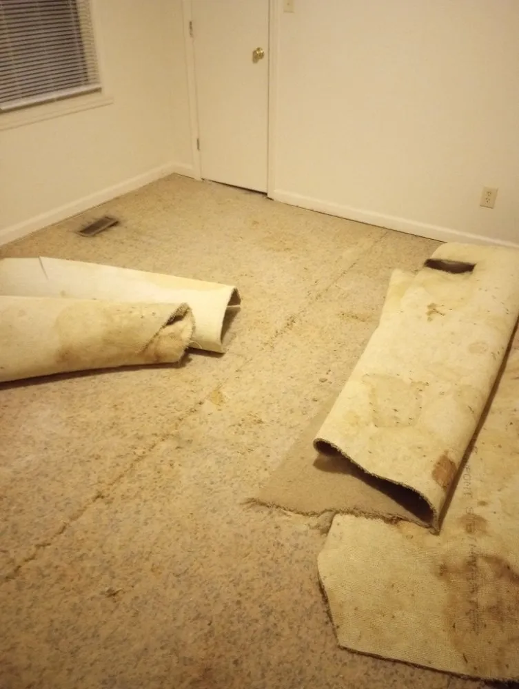 Local residential landscaping in Indianapolis, IN - Burgetts Trades