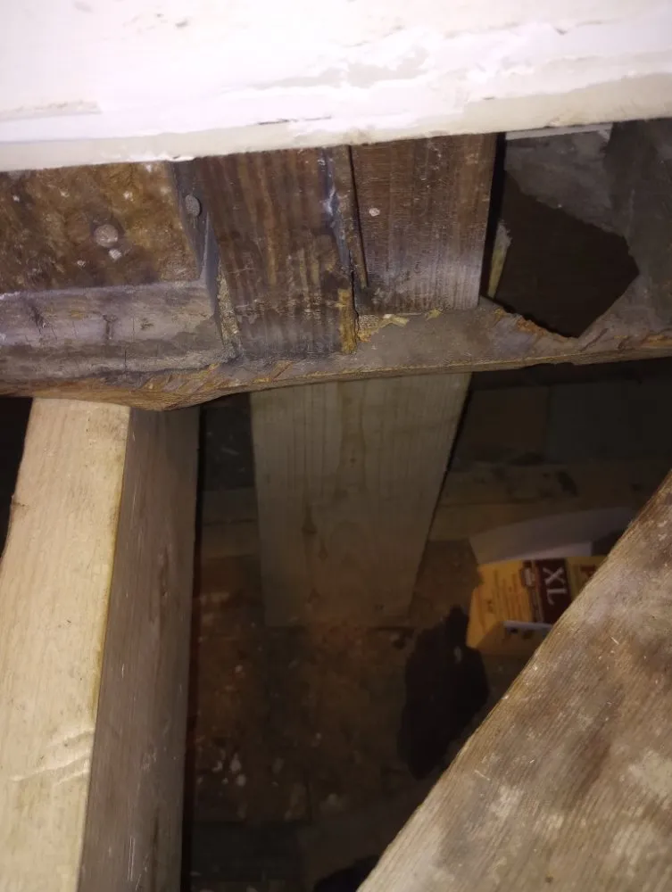 Expert lawn mowing service experts serving Indianapolis, IN - Burgetts Trades