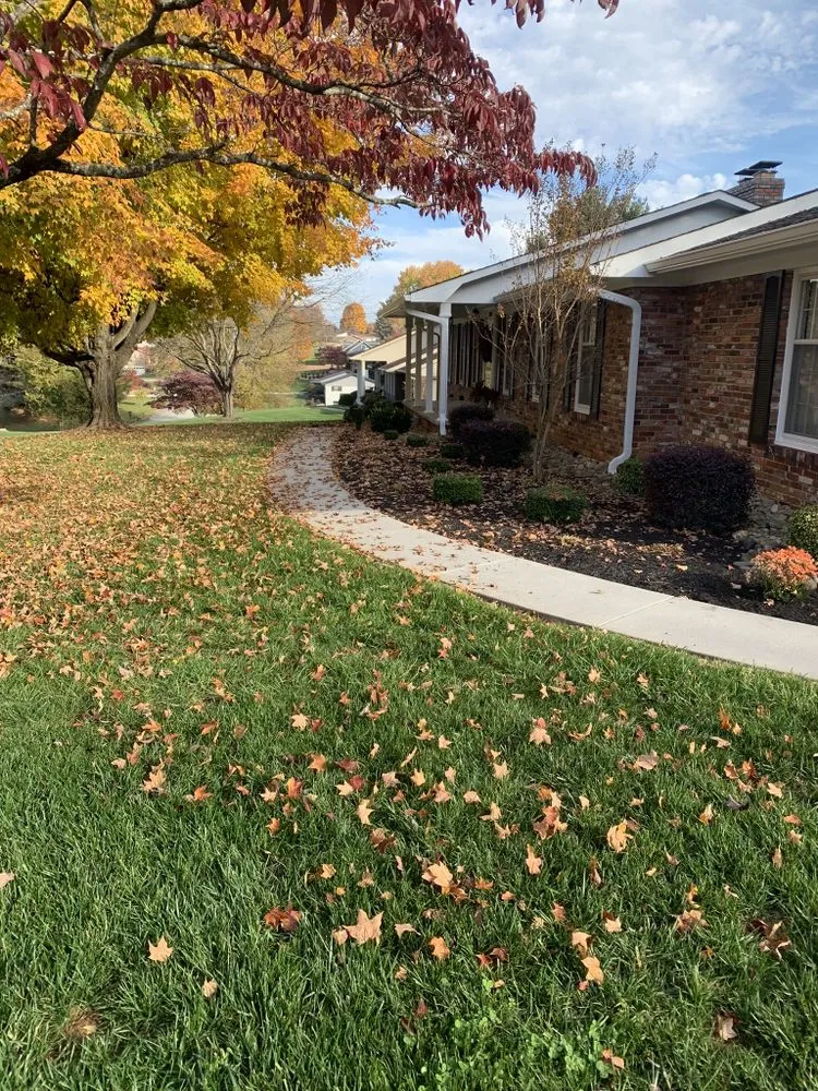 Custom yard maintenance experts serving Morristown, TN - Burgin Lawn Care