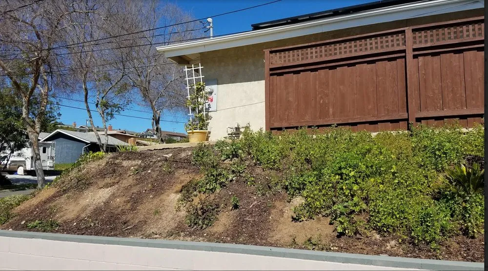 Affordable outdoor landscaping experts serving El Cajon, CA - Burgio Landscape Services