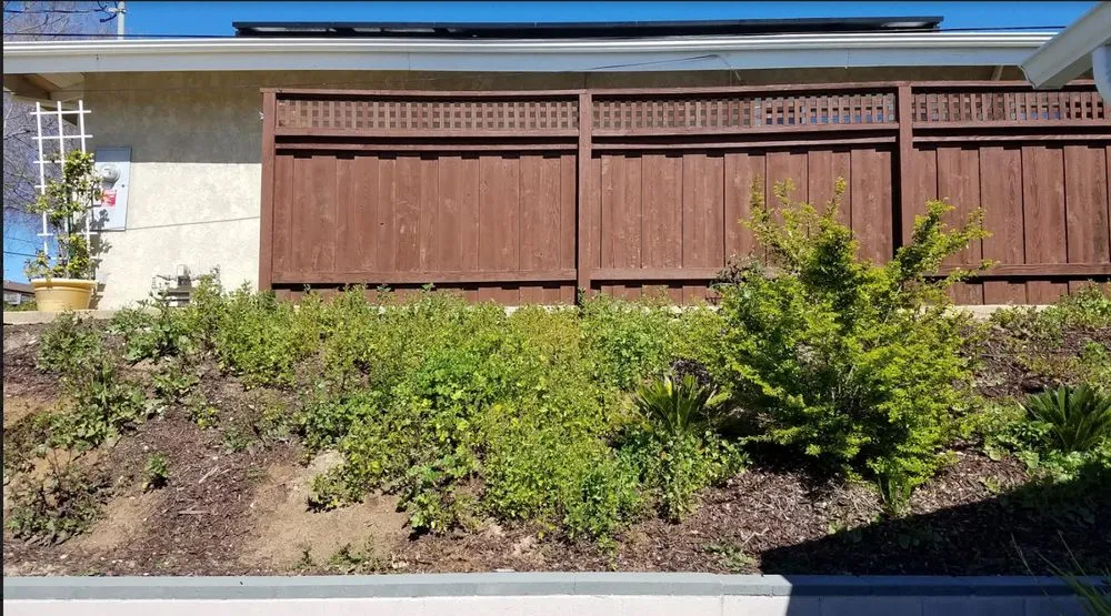 Custom lawn mowing service in El Cajon, CA - Burgio Landscape Services