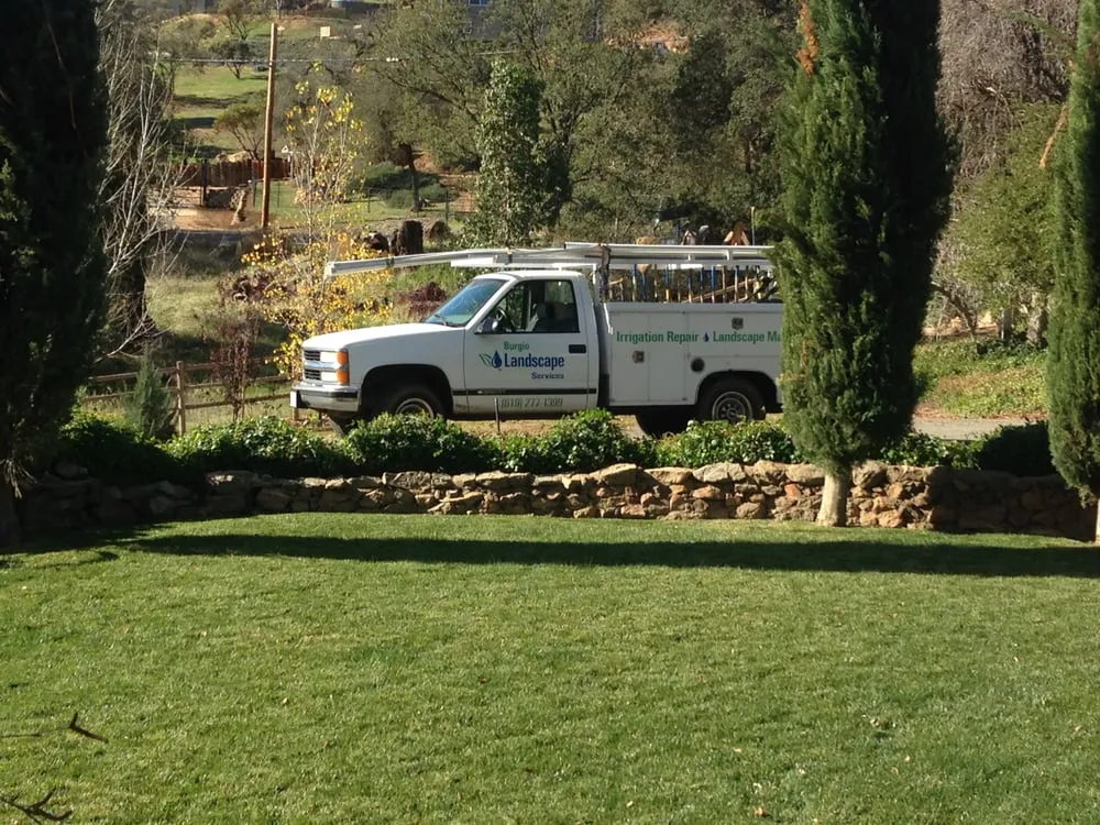 Affordable landscaping services in El Cajon, CA by Burgio Landscape Services