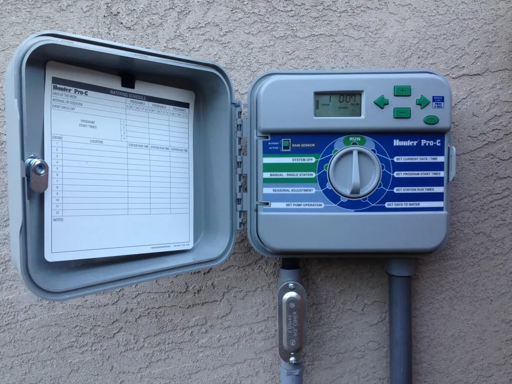 Trusted yard cleanup service in El Cajon, CA - Burgio Landscape Services