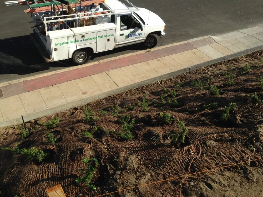 Affordable landscape design in El Cajon, CA - Burgio Landscape Services