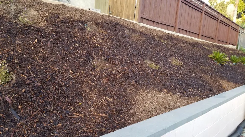 Reliable landscape installation near you in El Cajon, CA by Burgio Landscape Services