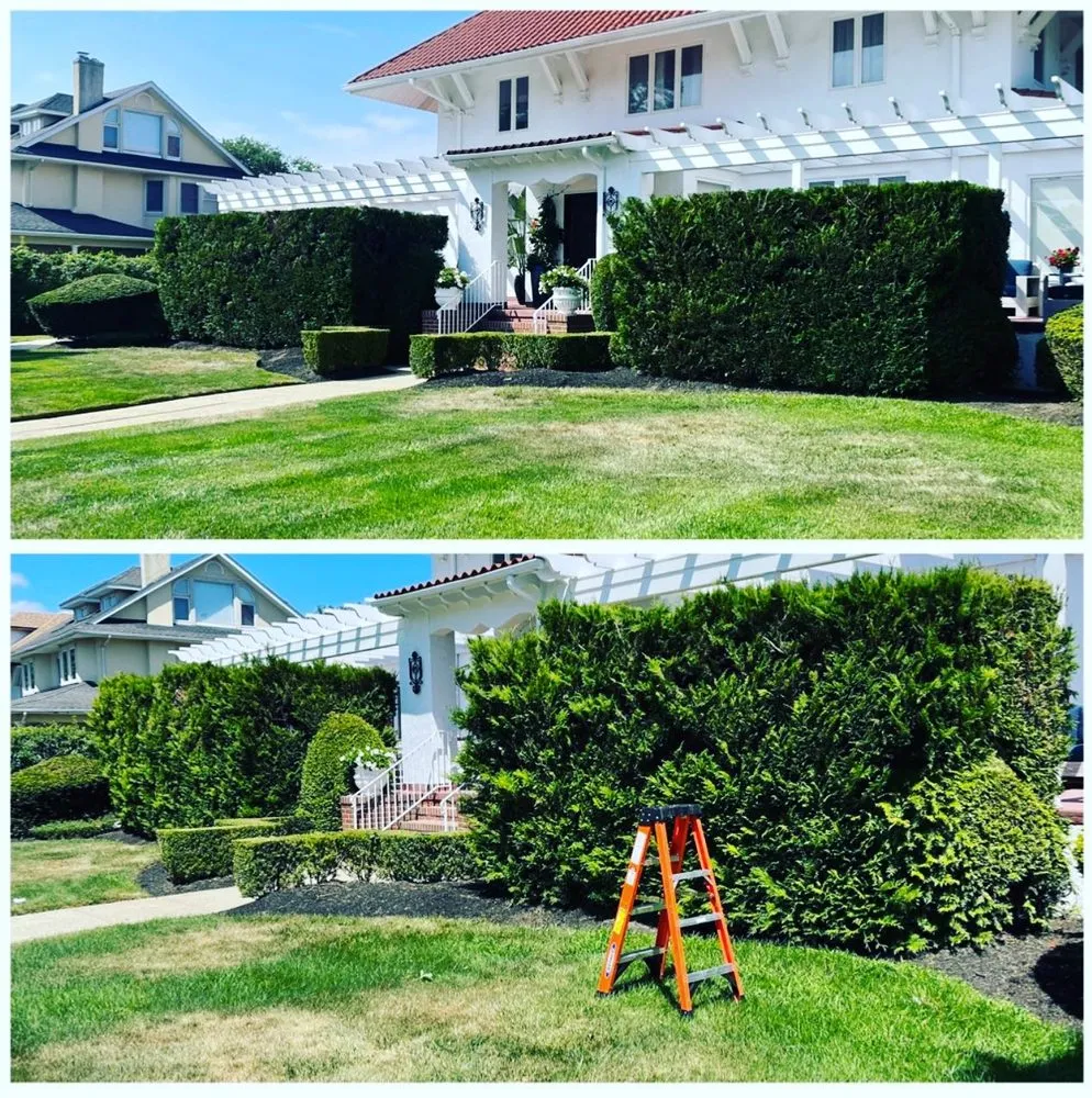 Trusted landscaping services for homes in Long Branch, NJ by Burgos Landscaping