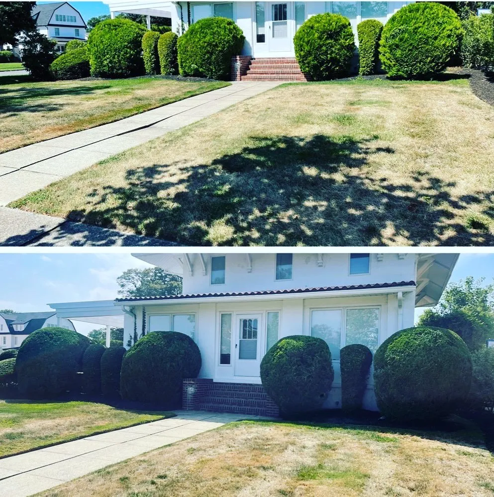 Expert yard maintenance for homes across Long Branch, NJ - Burgos Landscaping