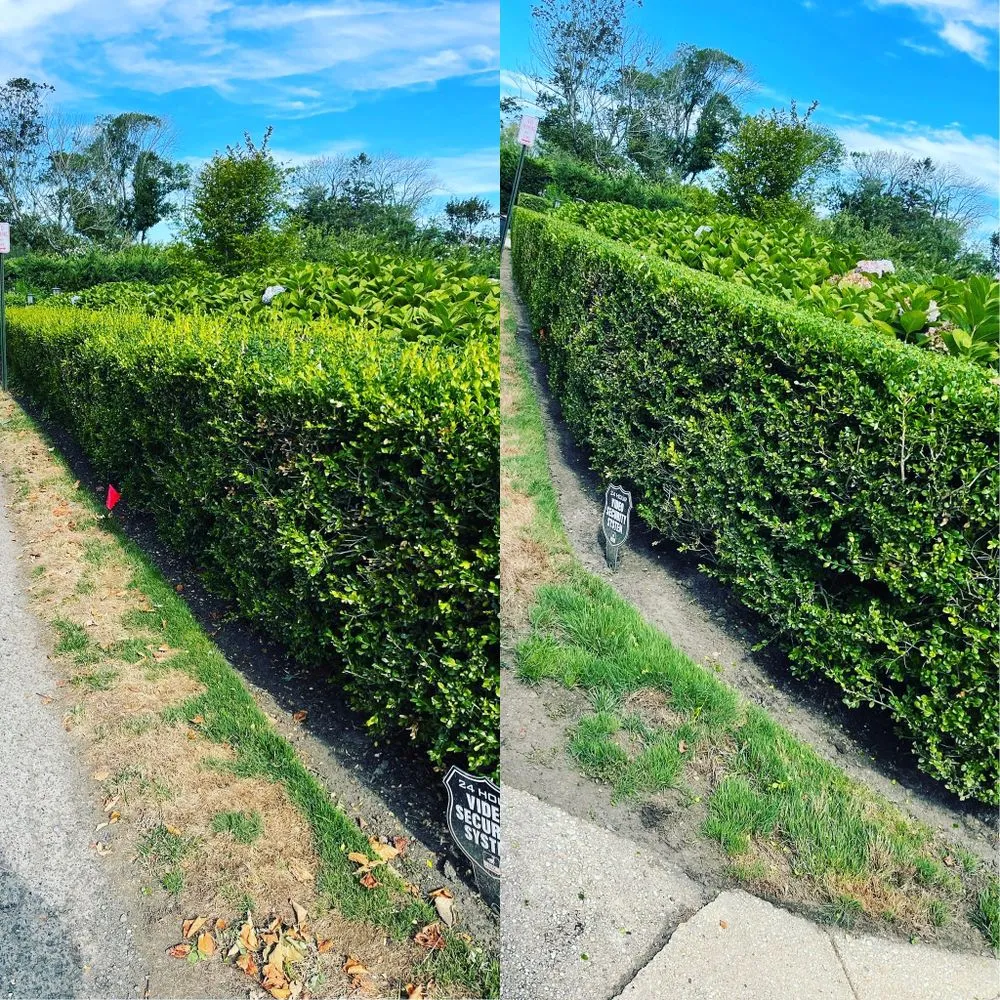 Trusted yard cleanup service in Long Branch, NJ by Burgos Landscaping