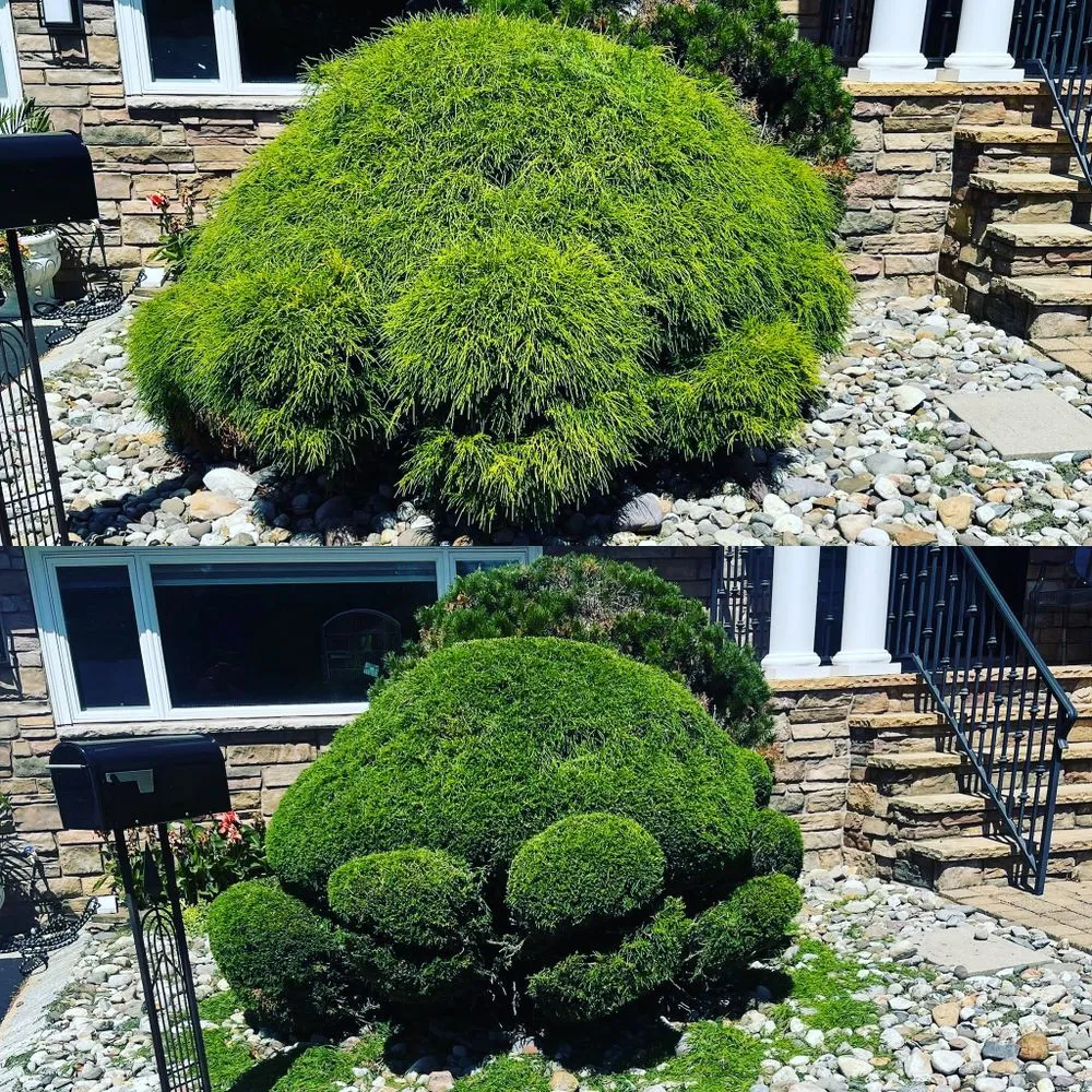 Professional yard maintenance with custom design in Long Branch, NJ by Burgos Landscaping