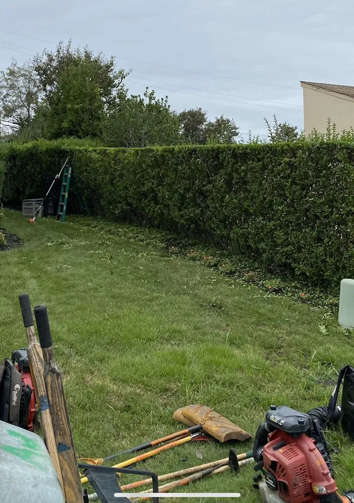 Reliable lawn mowing service in Long Branch, NJ - Burgos Landscaping