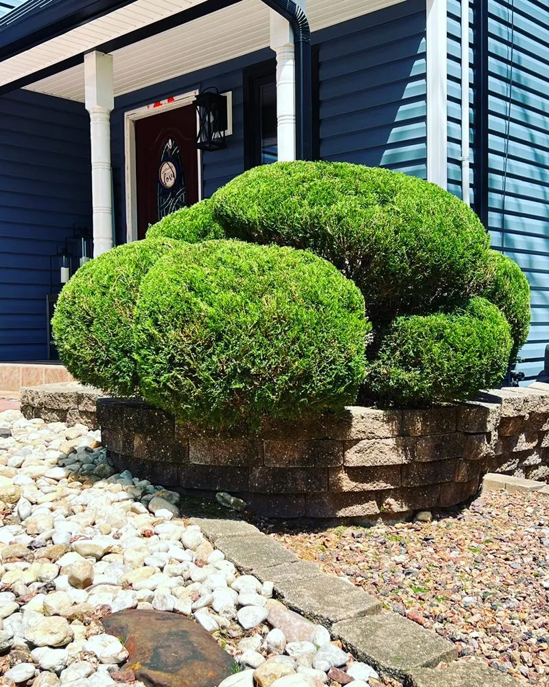 Custom yard maintenance experts serving Long Branch, NJ - Burgos Landscaping