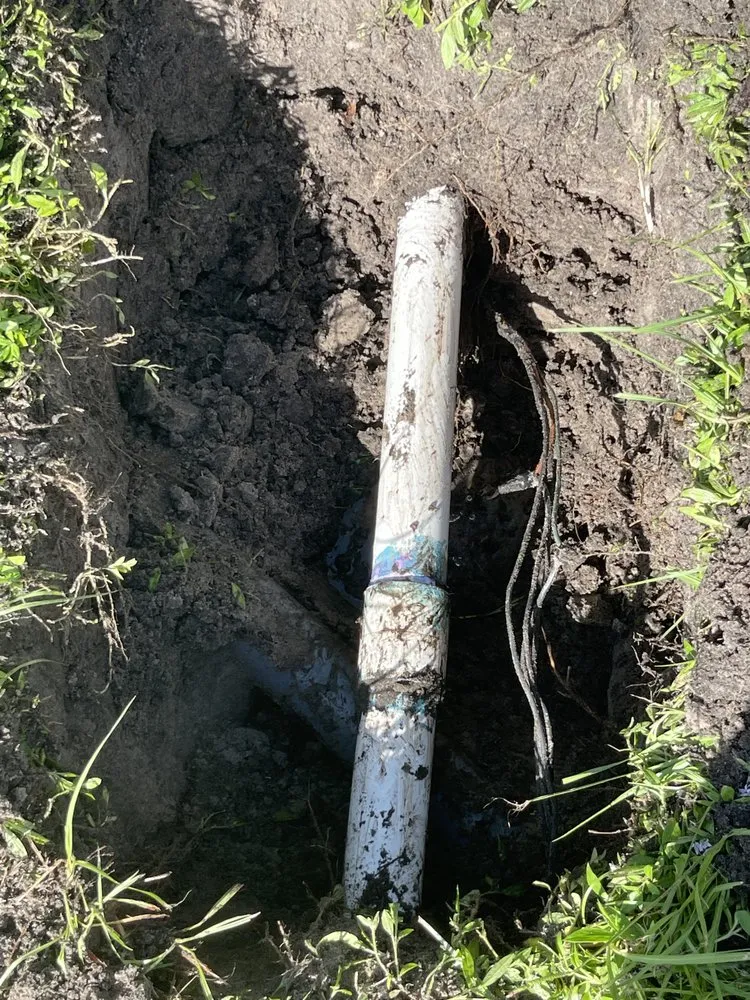 Trusted residential landscaping in Fort Lauderdale, FL by Burgos Sprinkler Maintenance