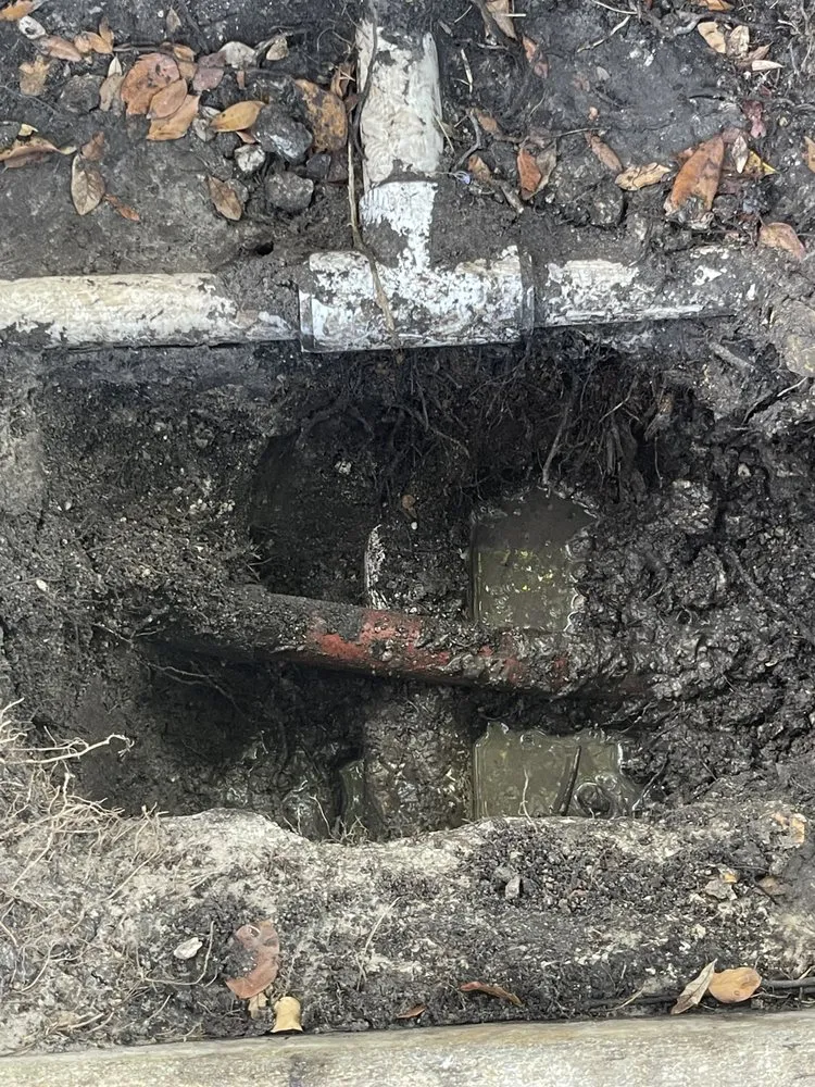 Affordable landscaping services in Fort Lauderdale, FL - Burgos Sprinkler Maintenance