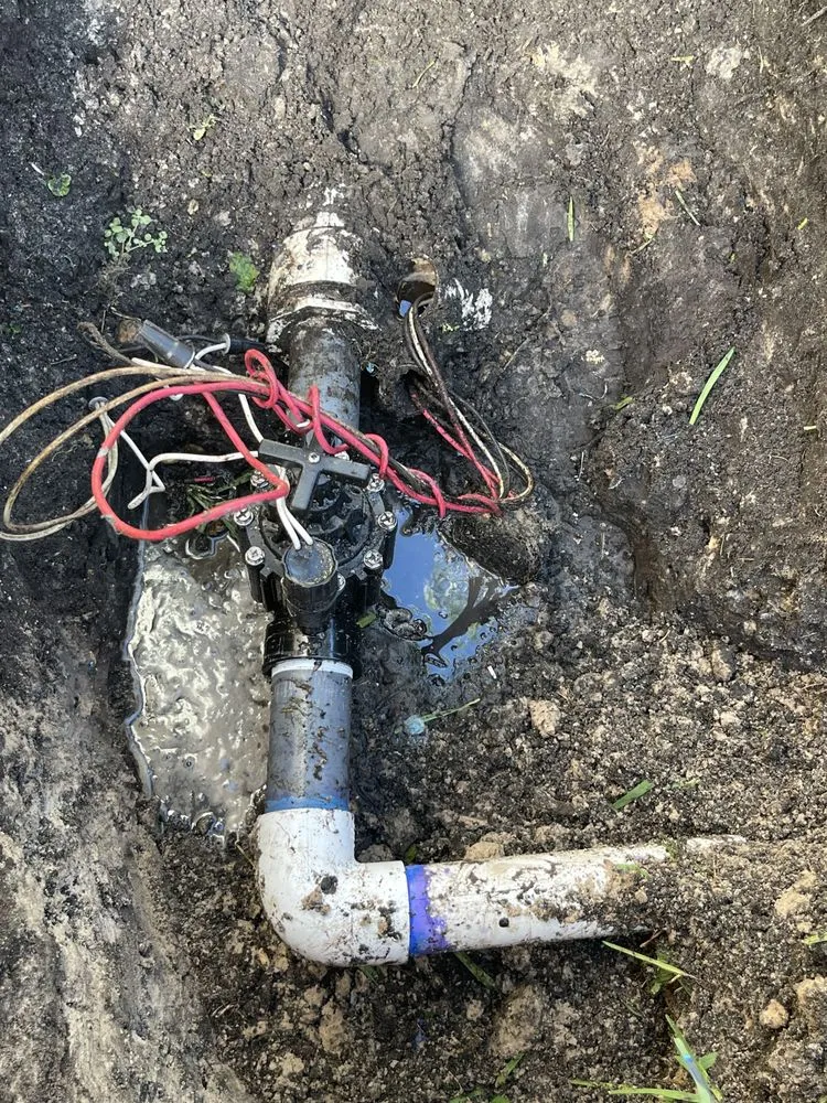 Professional garden landscaping in Fort Lauderdale, FL - Burgos Sprinkler Maintenance