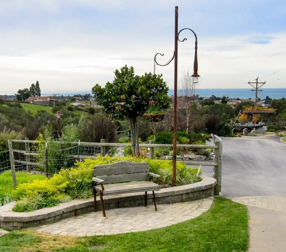 Reliable lawn care service with custom design across Arroyo Grande, CA - Burkards Landscape & Bee Services