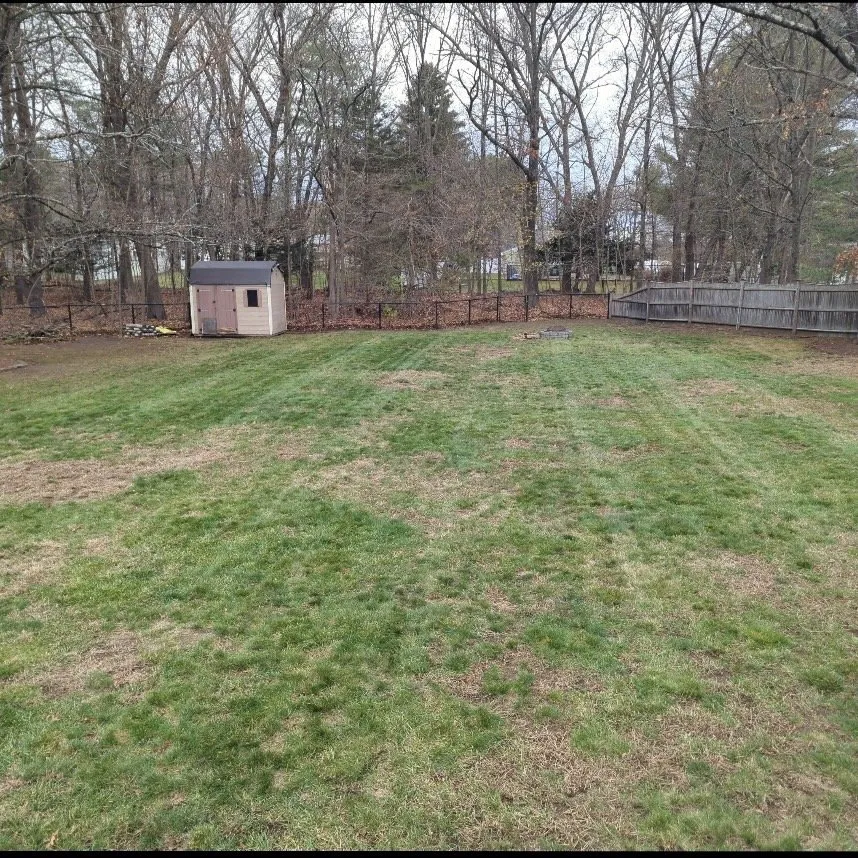Custom yard maintenance for beautiful yards in Medway, MA by Burke Bros Property Services