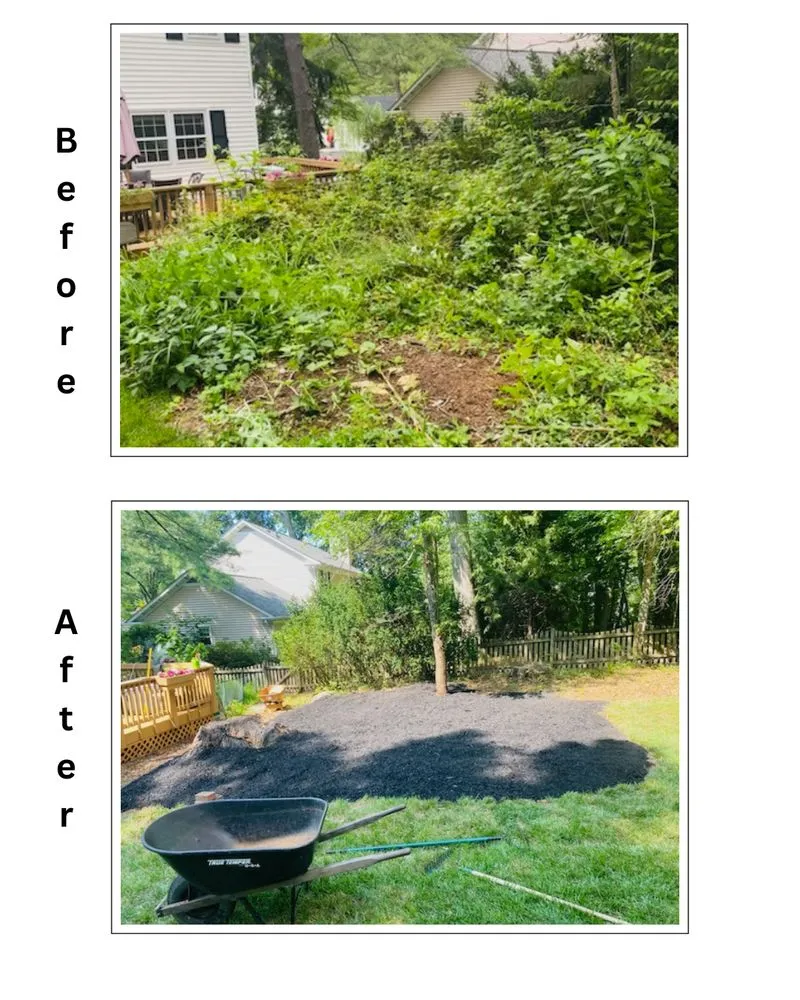 Professional lawn mowing service near you in Alexandria, VA by Burke Brothers Landscaping & Home Services