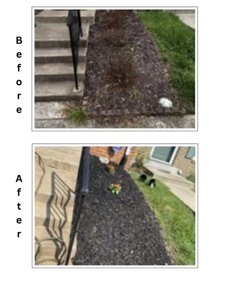 Expert landscape installation for year-round maintenance across Alexandria, VA - Burke Brothers Landscaping & Home Services