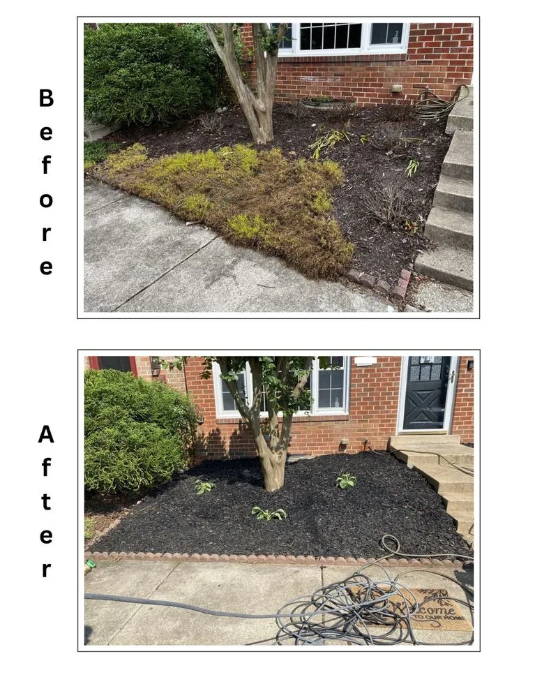 Custom landscaping services experts serving Alexandria, VA - Burke Brothers Landscaping & Home Services