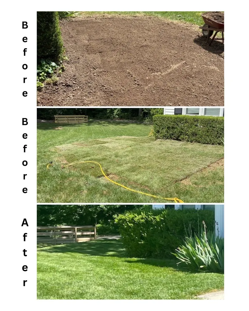 Custom lawn mowing service for year-round maintenance in Alexandria, VA by Burke Brothers Landscaping & Home Services