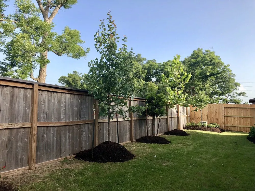 Expert garden landscaping experts serving Katy, TX - Burke Landscape Design