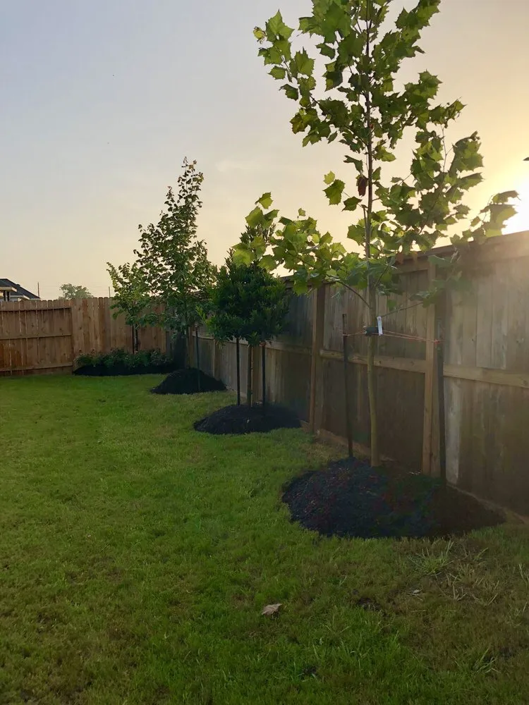Local yard maintenance in Katy, TX by Burke Landscape Design