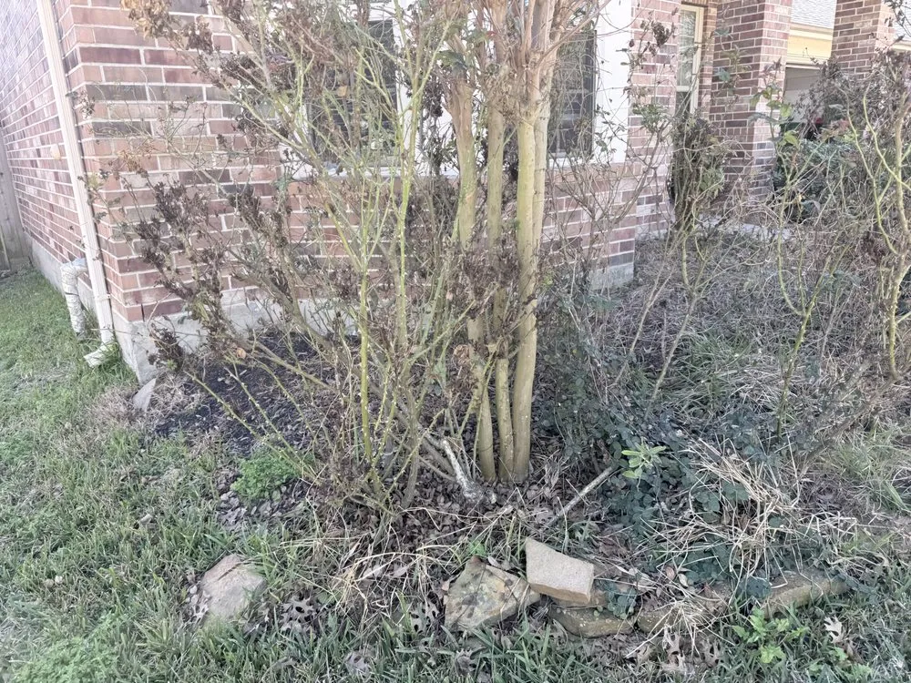 Affordable landscaping services for outdoor upgrades across Katy, TX - Burke Landscape Design