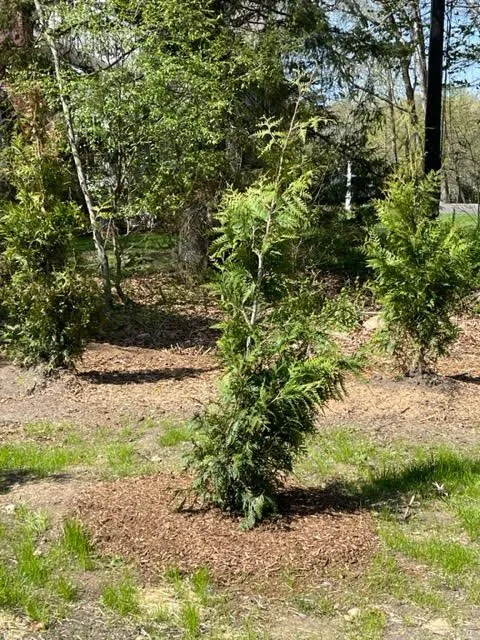 Trusted garden landscaping in Trumbull, CT by Burke Landscaping and Design