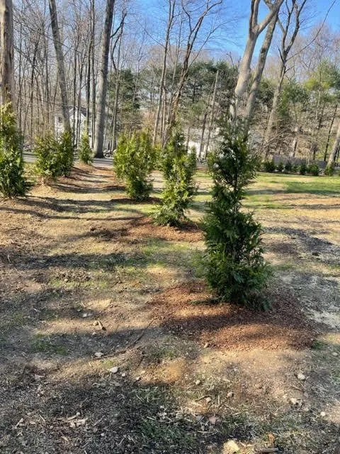 Local lawn care service experts serving Trumbull, CT - Burke Landscaping and Design