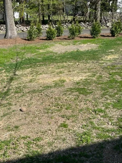 Reliable residential landscaping for outdoor upgrades in Trumbull, CT by Burke Landscaping and Design