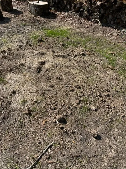 Reliable residential landscaping in Trumbull, CT by Burke Landscaping and Design