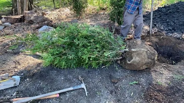 Burke Landscaping and Design