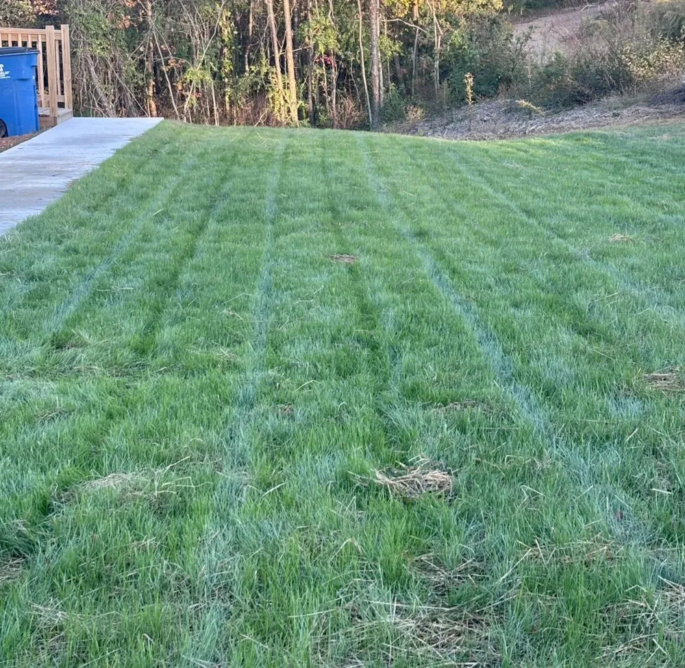 Trusted landscape installation for outdoor upgrades across Connelly Springs, NC - Burke Landscaping