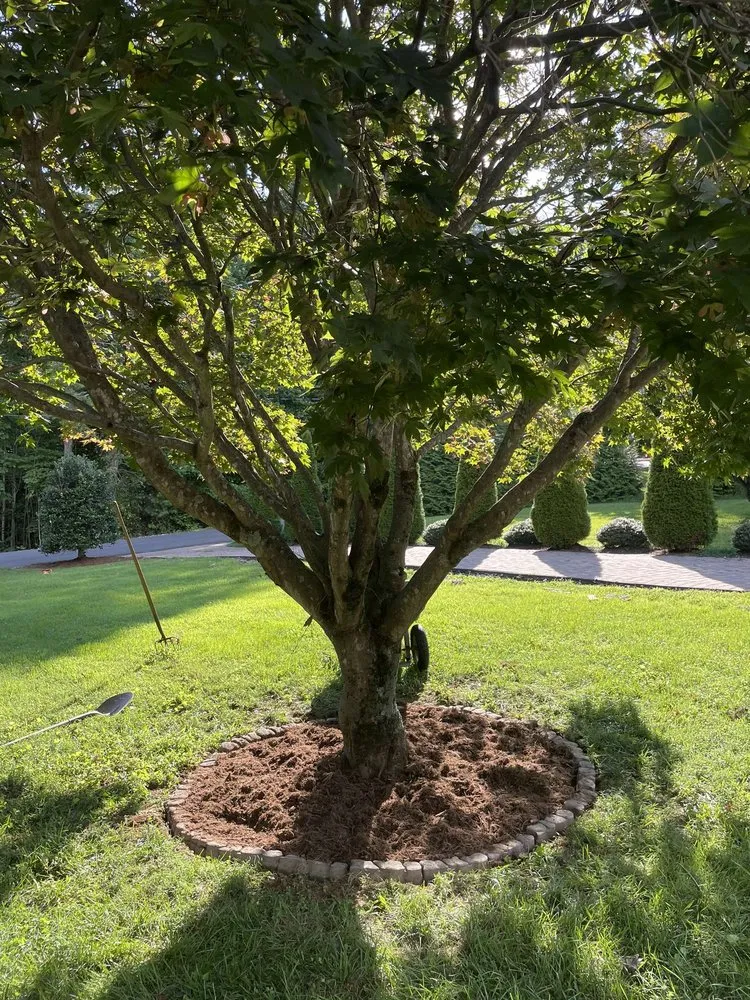 Top-rated outdoor landscaping in Morganton, NC by Burke Landscaping Solutions