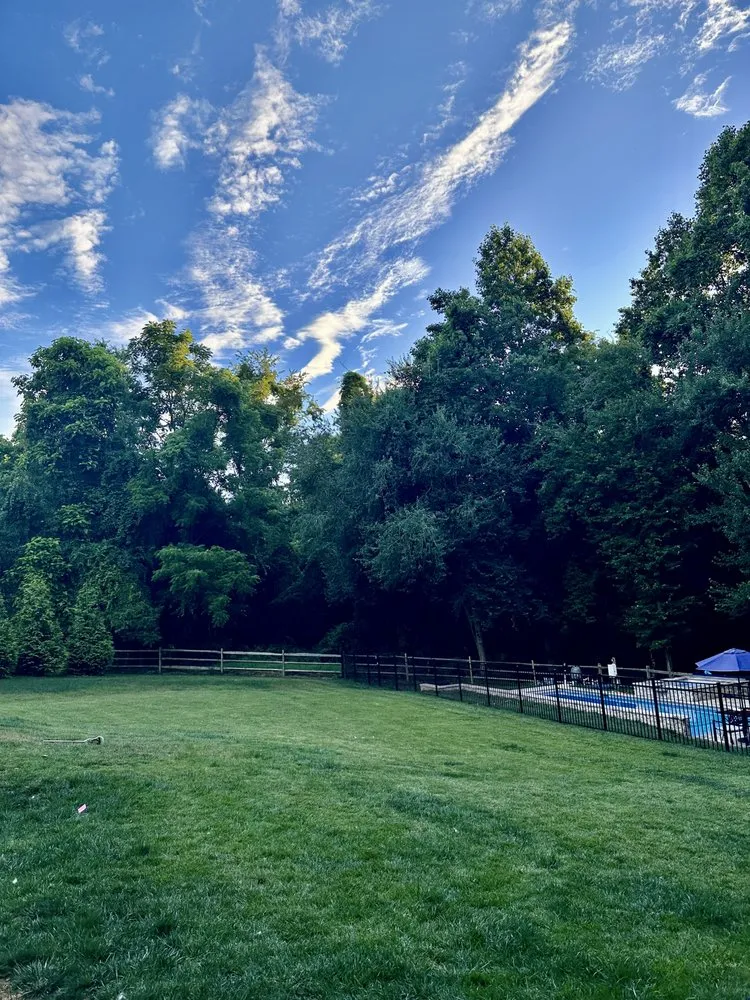 Custom yard cleanup service in Burke, VA by Burke Lawn Care