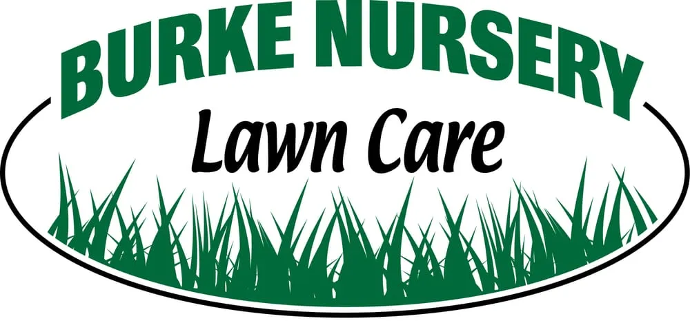 Trusted yard cleanup service in Burke, VA by Burke Lawn Care