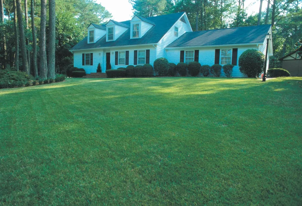 Expert landscape installation in Burke, VA - Burke Lawn Care