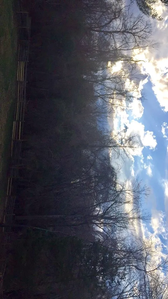 Expert lawn care service with custom design in Burke, VA by Burke Lawn Care