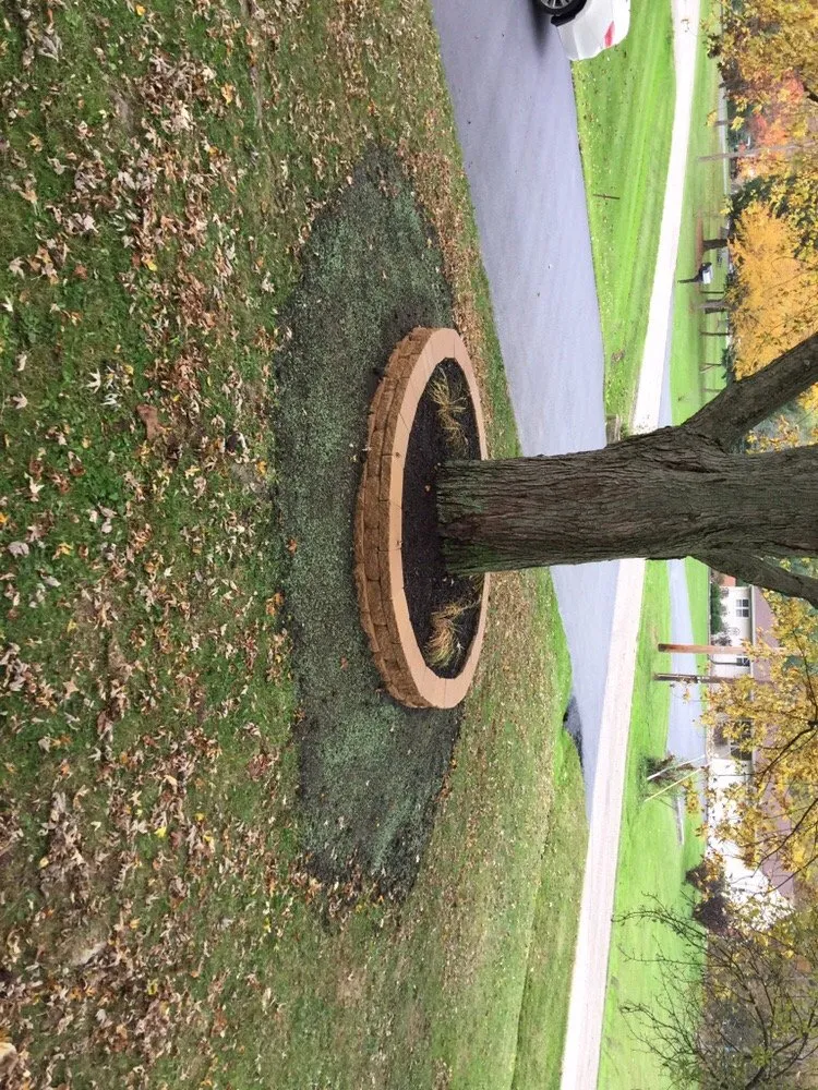 Top-rated outdoor landscaping for beautiful yards across Portage, IN - Burke Lawn Care