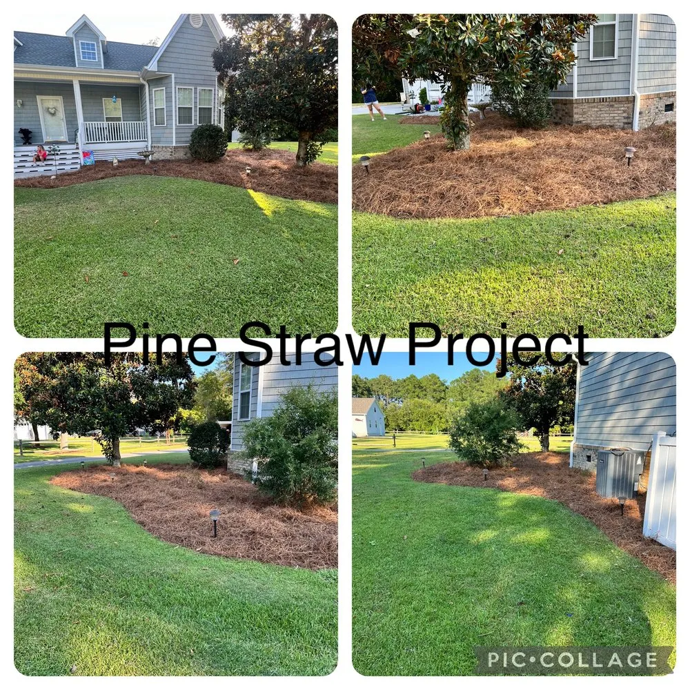Trusted yard maintenance in Swansboro, NC by Burke Lawn Care