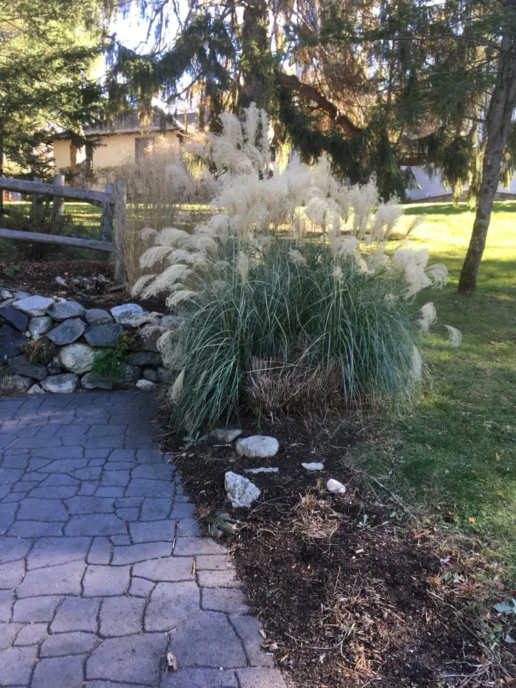 Reliable residential landscaping experts serving Concord, MA - Burke Tree & Yard Maintenance