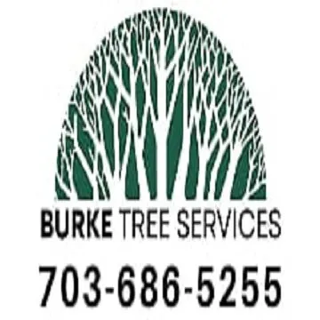 Top-rated outdoor landscaping for year-round maintenance in Burke, VA by Burke Tree Services