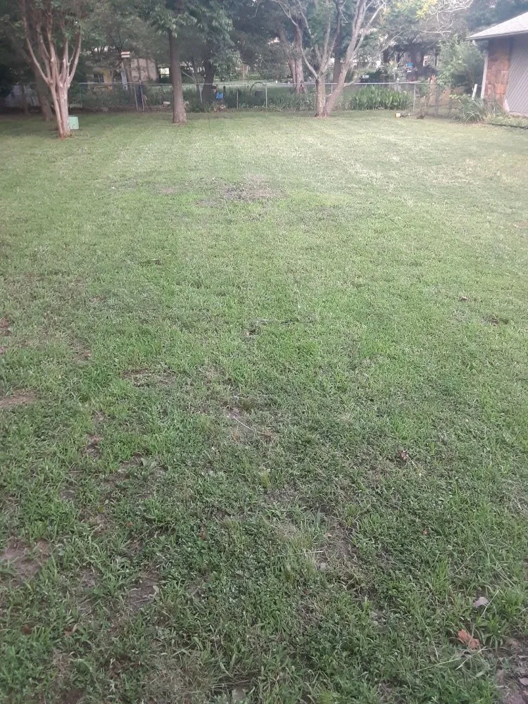 Affordable residential landscaping experts serving Tulsa, OK - Burke's Lawn Care