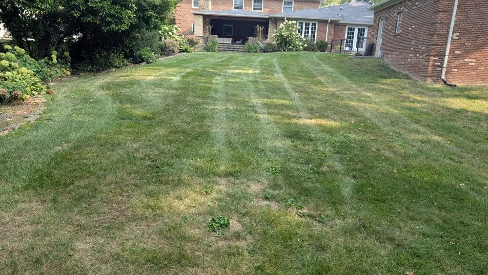 Expert residential landscaping in Indianapolis, IN - Burke's Lawn Service