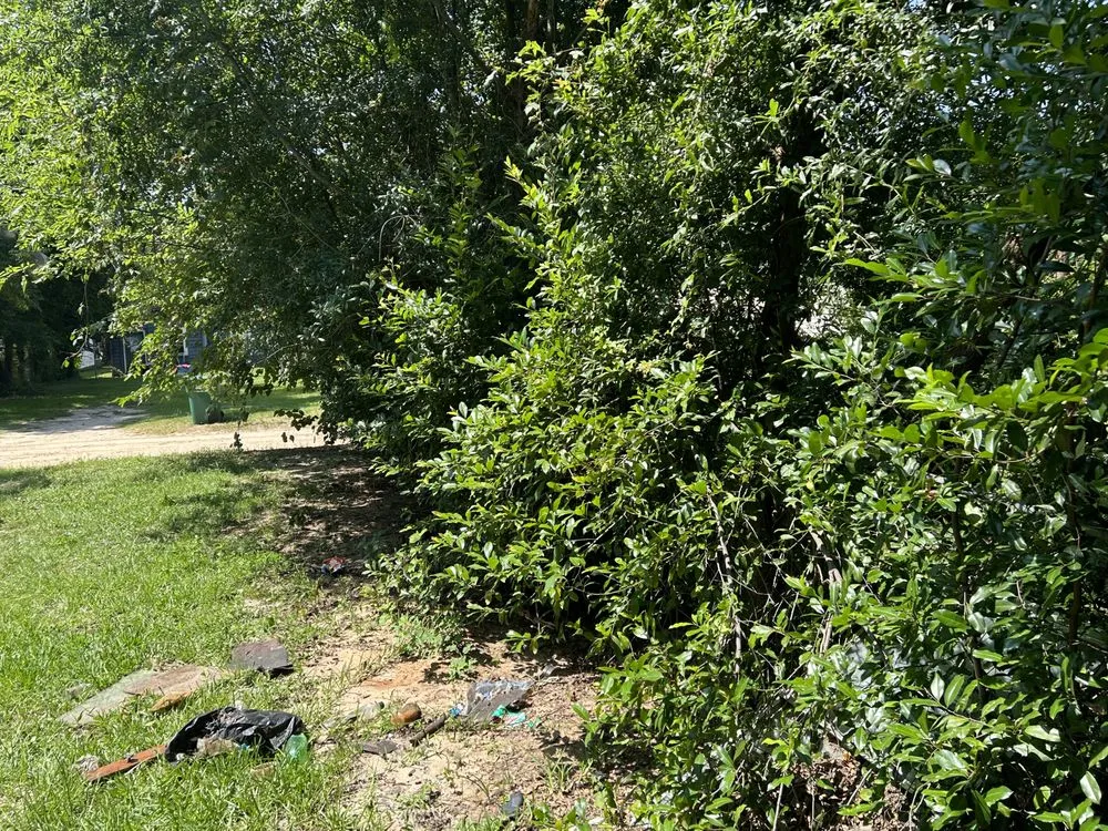 Expert garden landscaping experts serving Albany, GA - Burke's Lawn Titans