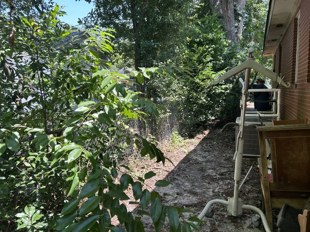 Top-rated yard maintenance for beautiful yards across Albany, GA - Burke's Lawn Titans