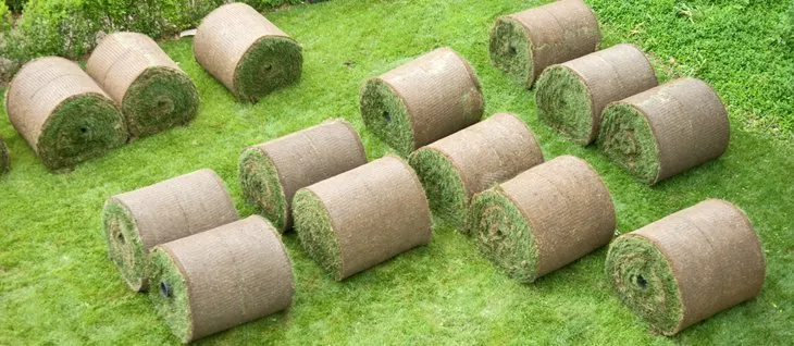 Professional yard maintenance in Hazel Green, AL by Burkett Lawn Care