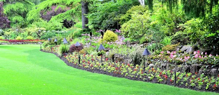 Affordable lawn care service in Hazel Green, AL by Burkett Lawn Care