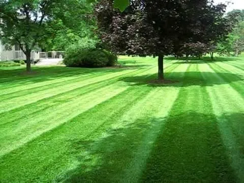Local landscaping services in Clarksville, TN by Burkhart Lawn Care